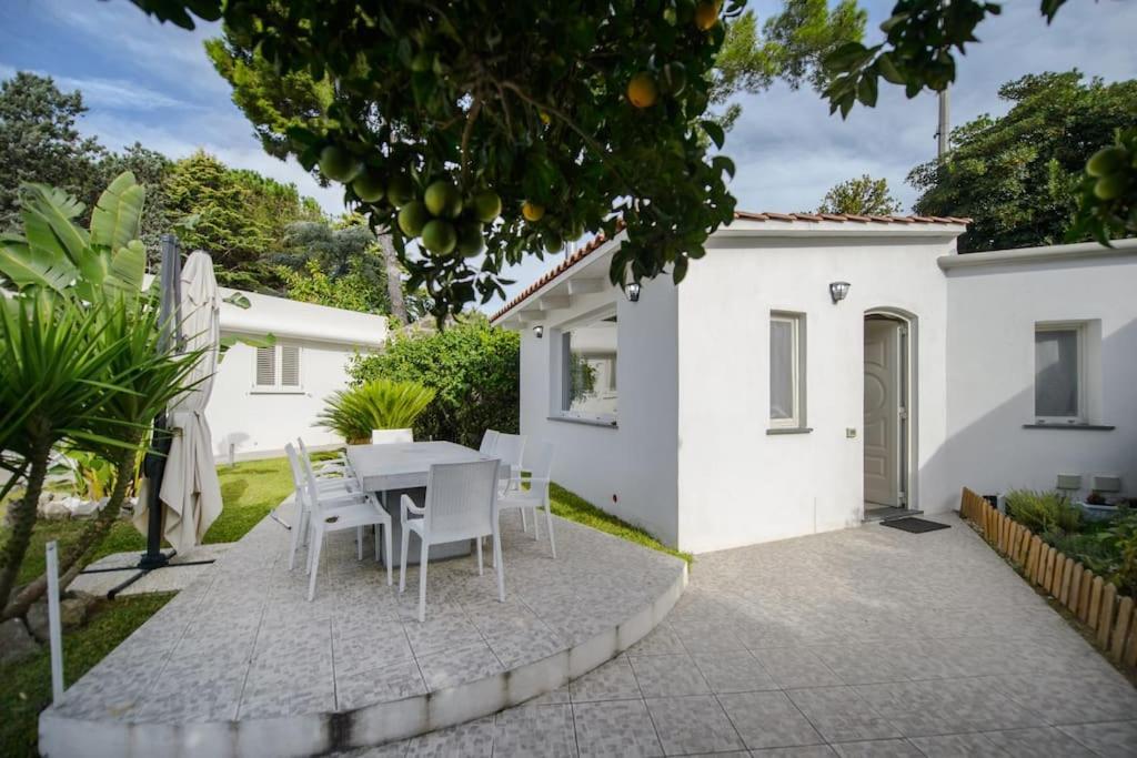 Casa Vacanza M&C Ischia Forio di Ischia Exterior foto